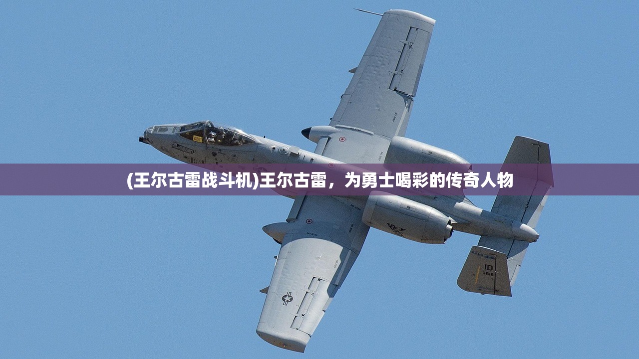 (王尔古雷战斗机)王尔古雷，为勇士喝彩的传奇人物