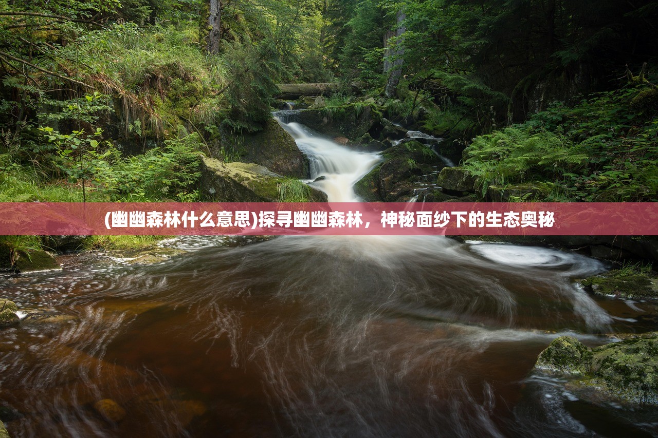 (幽幽森林什么意思)探寻幽幽森林，神秘面纱下的生态奥秘