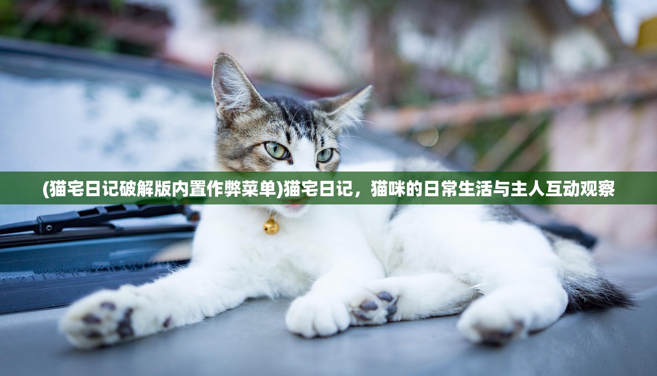 (猫宅日记破解版内置作弊菜单)猫宅日记，猫咪的日常生活与主人互动观察