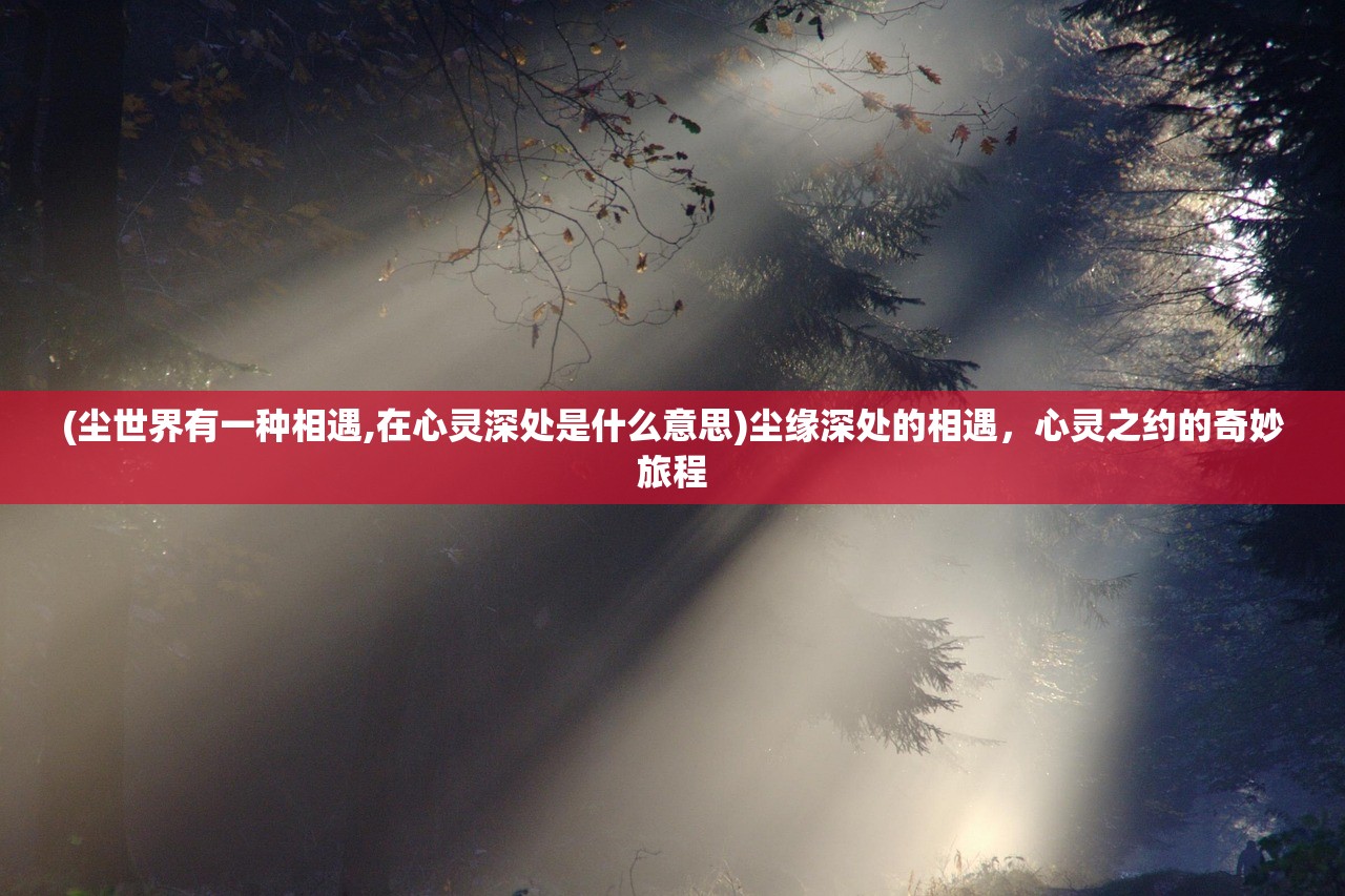 (尘世界有一种相遇,在心灵深处是什么意思)尘缘深处的相遇，心灵之约的奇妙旅程