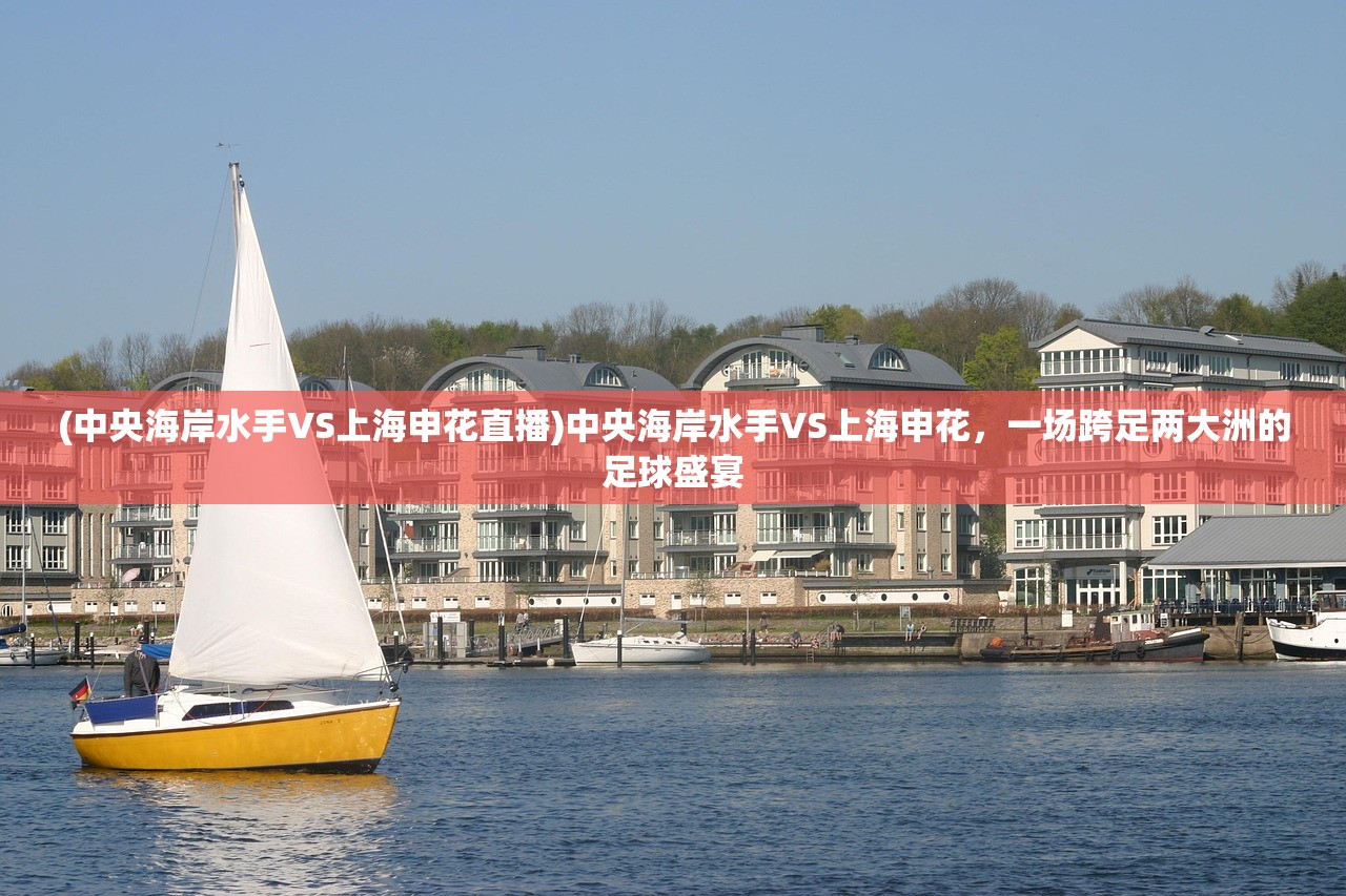 (中央海岸水手VS上海申花直播)中央海岸水手VS上海申花，一场跨足两大洲的足球盛宴