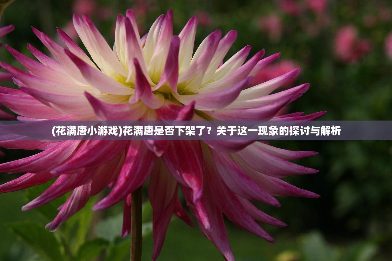 (花满唐小游戏)花满唐是否下架了？关于这一现象的探讨与解析