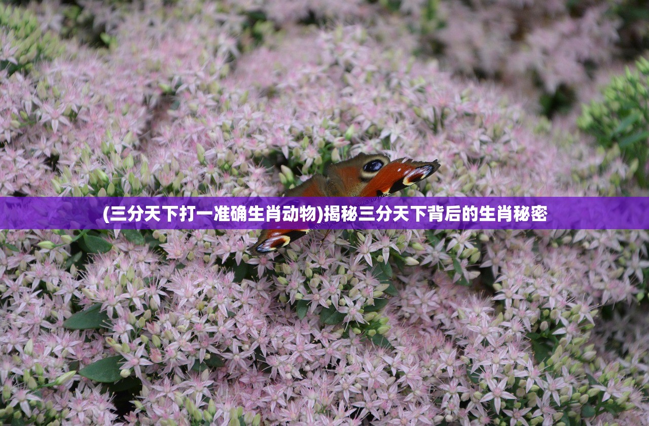 (三分天下打一准确生肖动物)揭秘三分天下背后的生肖秘密