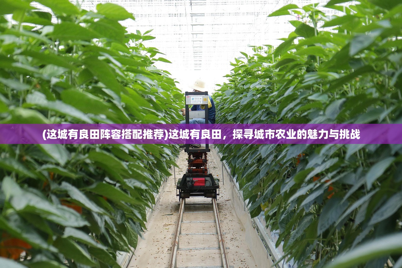 (这城有良田阵容搭配推荐)这城有良田，探寻城市农业的魅力与挑战