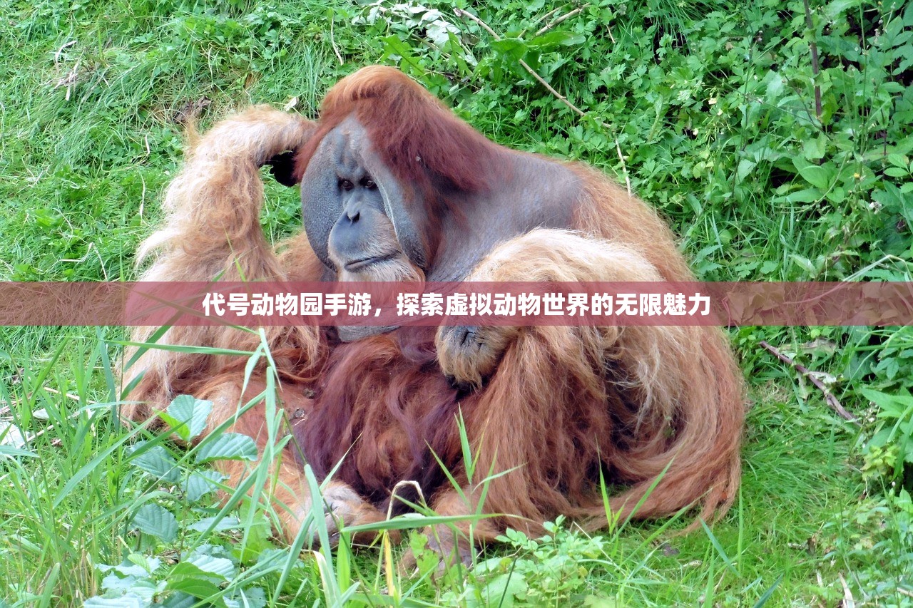 代号动物园手游，探索虚拟动物世界的无限魅力