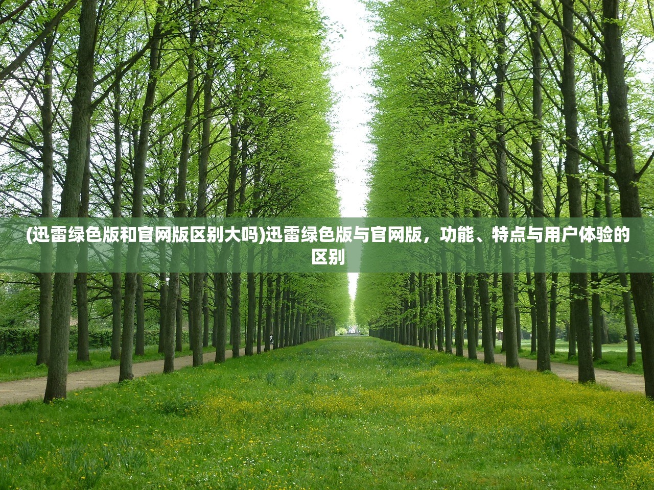 (迅雷绿色版和官网版区别大吗)迅雷绿色版与官网版，功能、特点与用户体验的区别