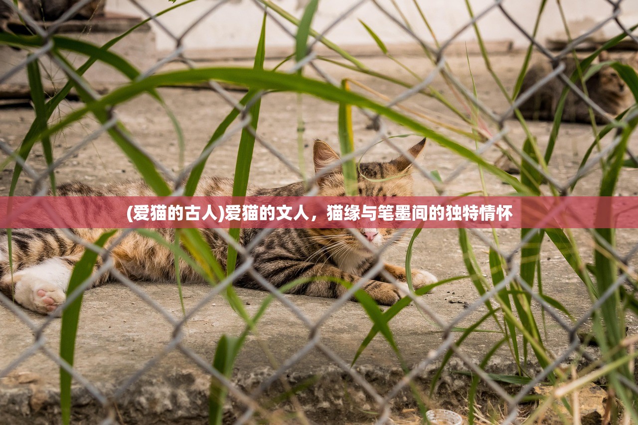 (爱猫的古人)爱猫的文人，猫缘与笔墨间的独特情怀