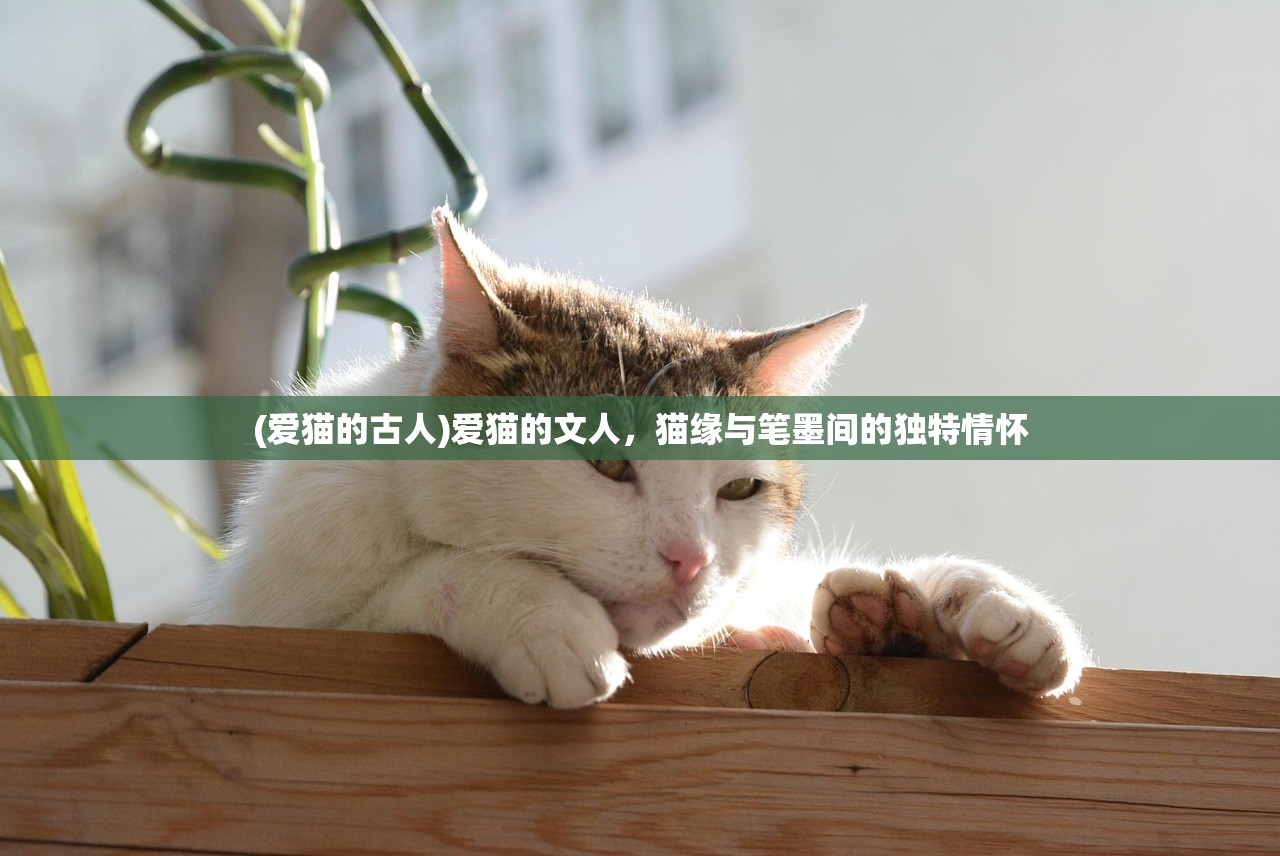 (爱猫的古人)爱猫的文人，猫缘与笔墨间的独特情怀