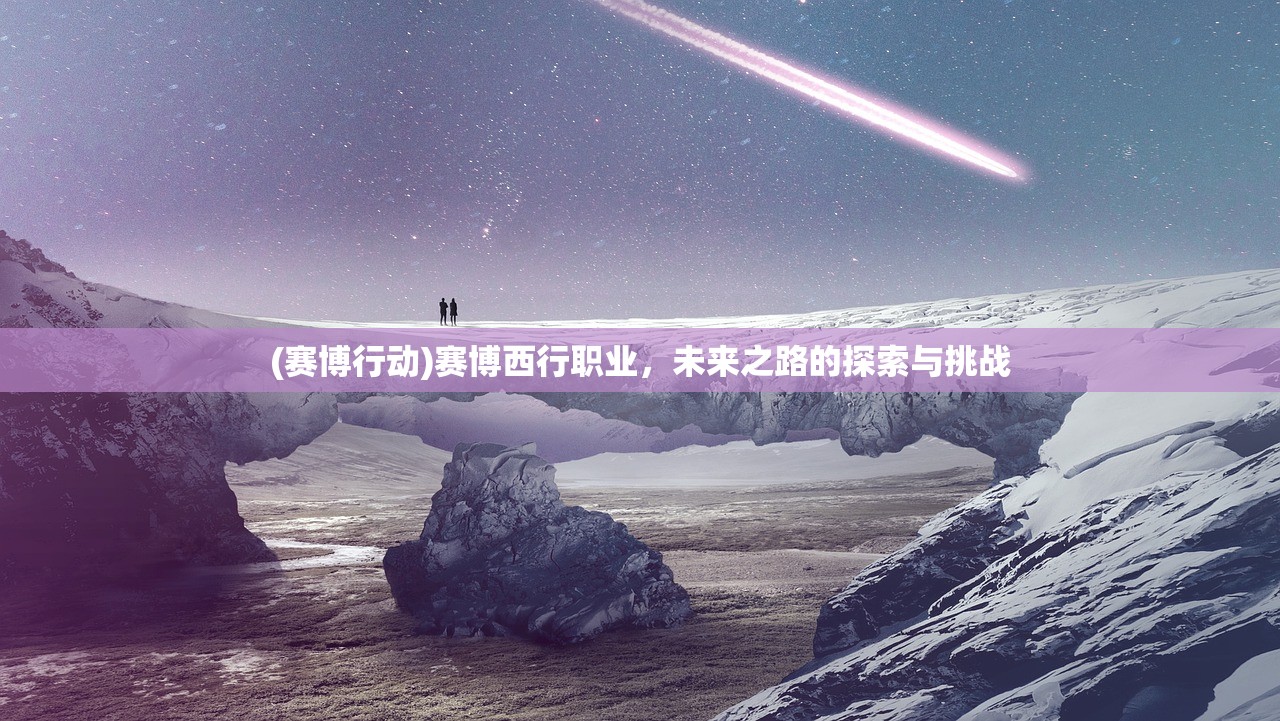 (赛博行动)赛博西行职业，未来之路的探索与挑战