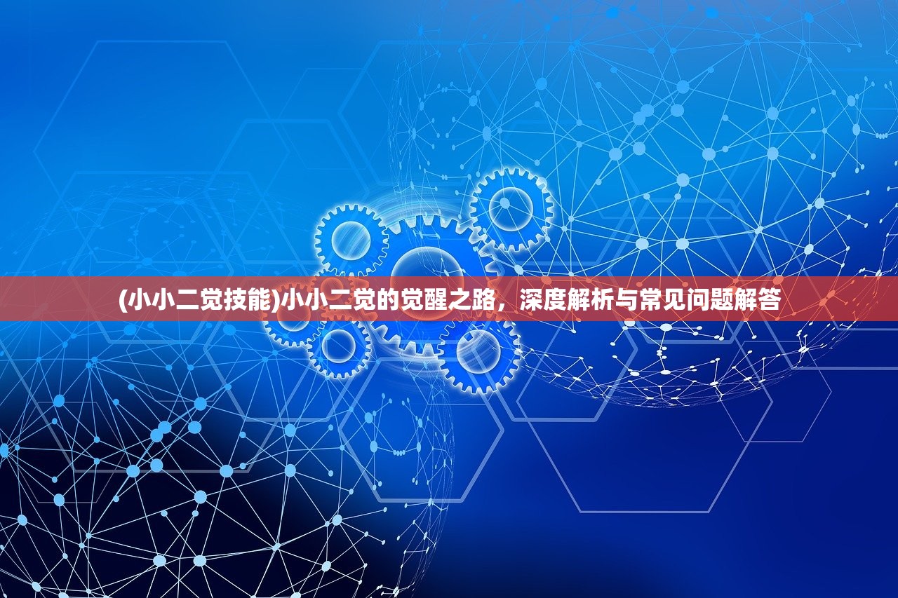 (小小二觉技能)小小二觉的觉醒之路，深度解析与常见问题解答