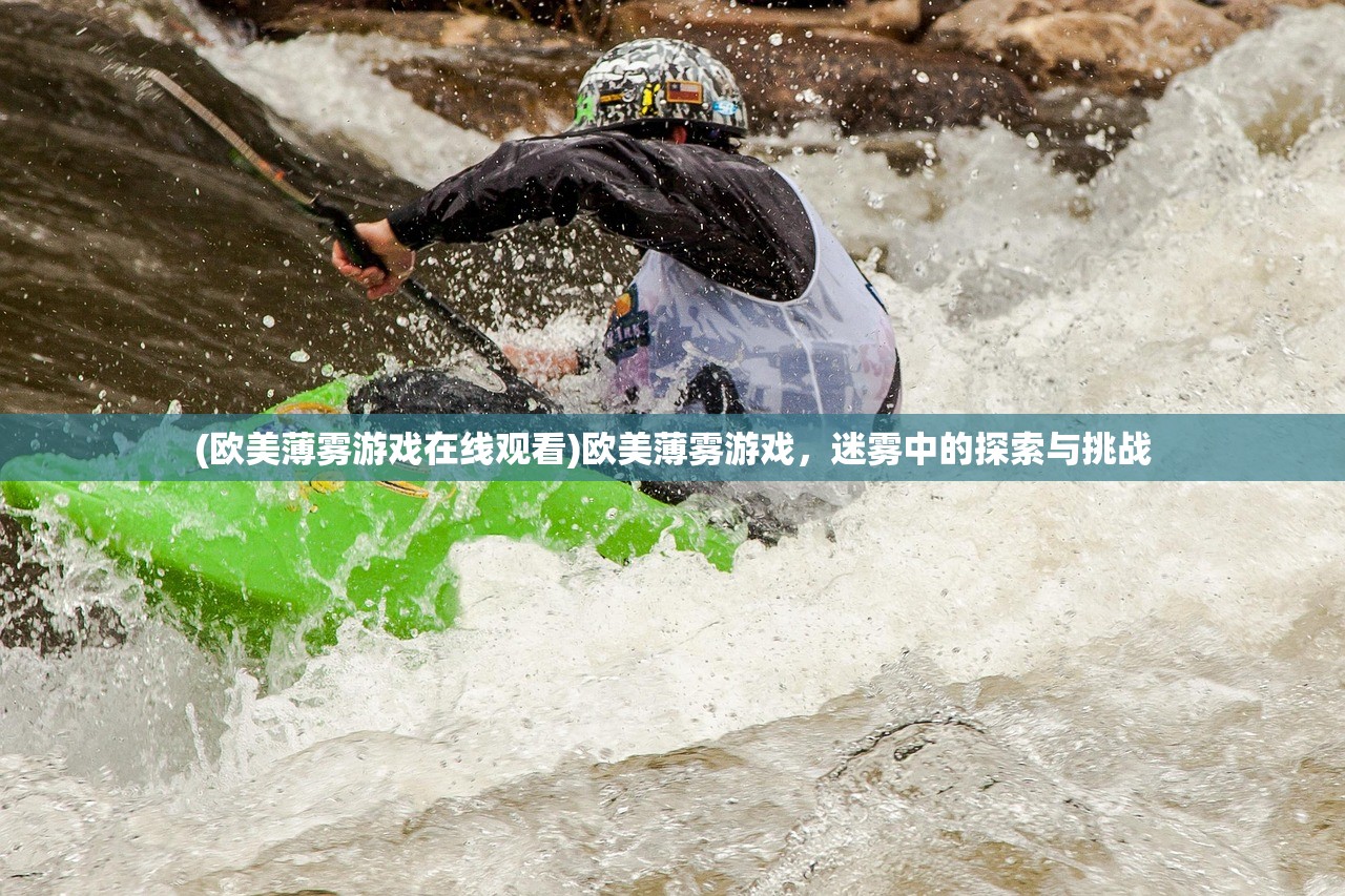 (黄黑全称叫什么)黑黄书是什么意思，深入解析与多元视角探讨