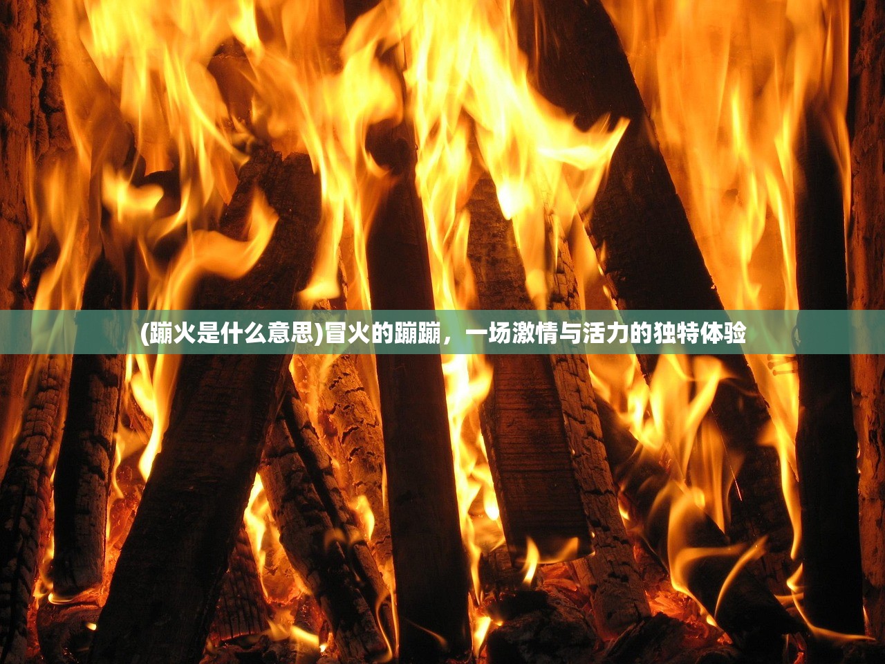 (蹦火是什么意思)冒火的蹦蹦，一场激情与活力的独特体验