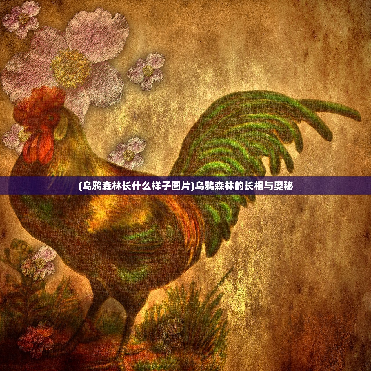 (乌鸦森林长什么样子图片)乌鸦森林的长相与奥秘
