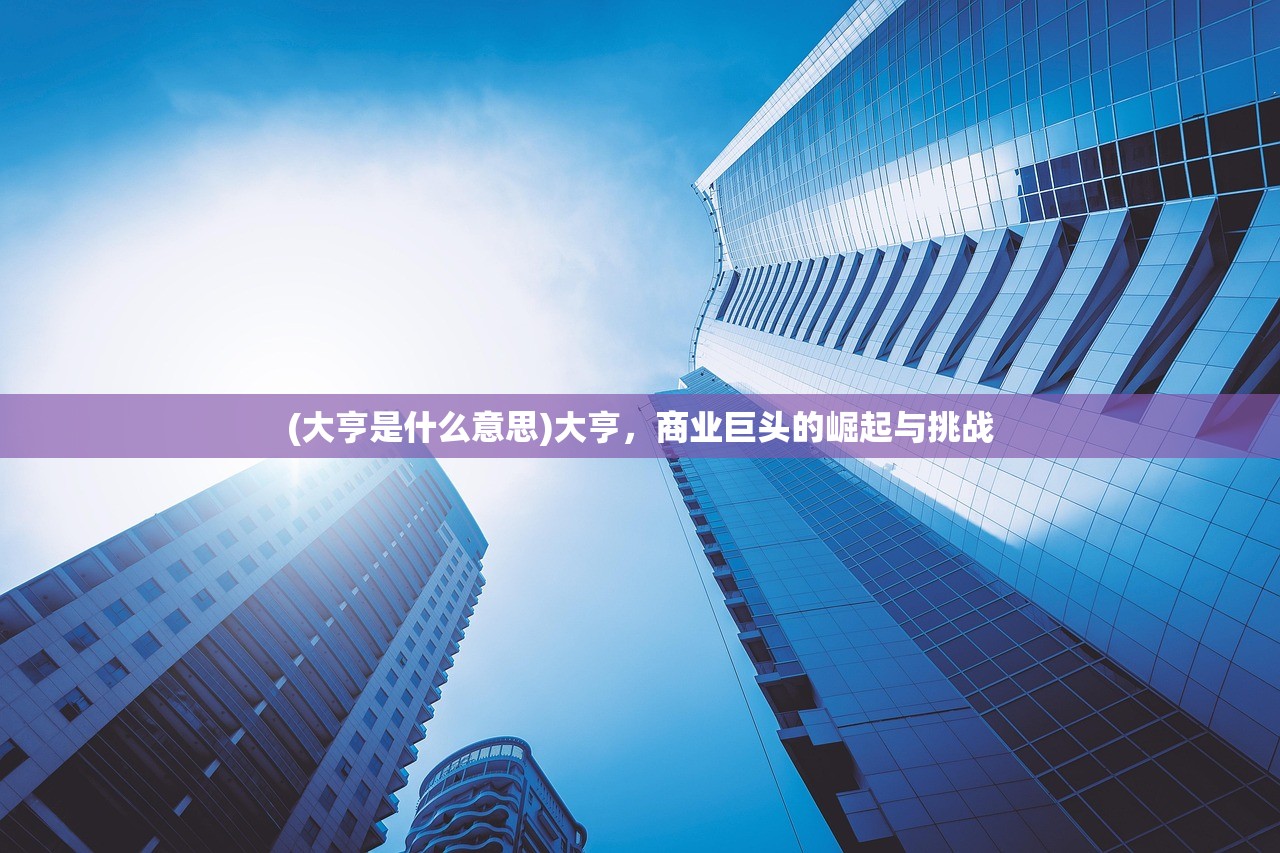 (大亨是什么意思)大亨，商业巨头的崛起与挑战