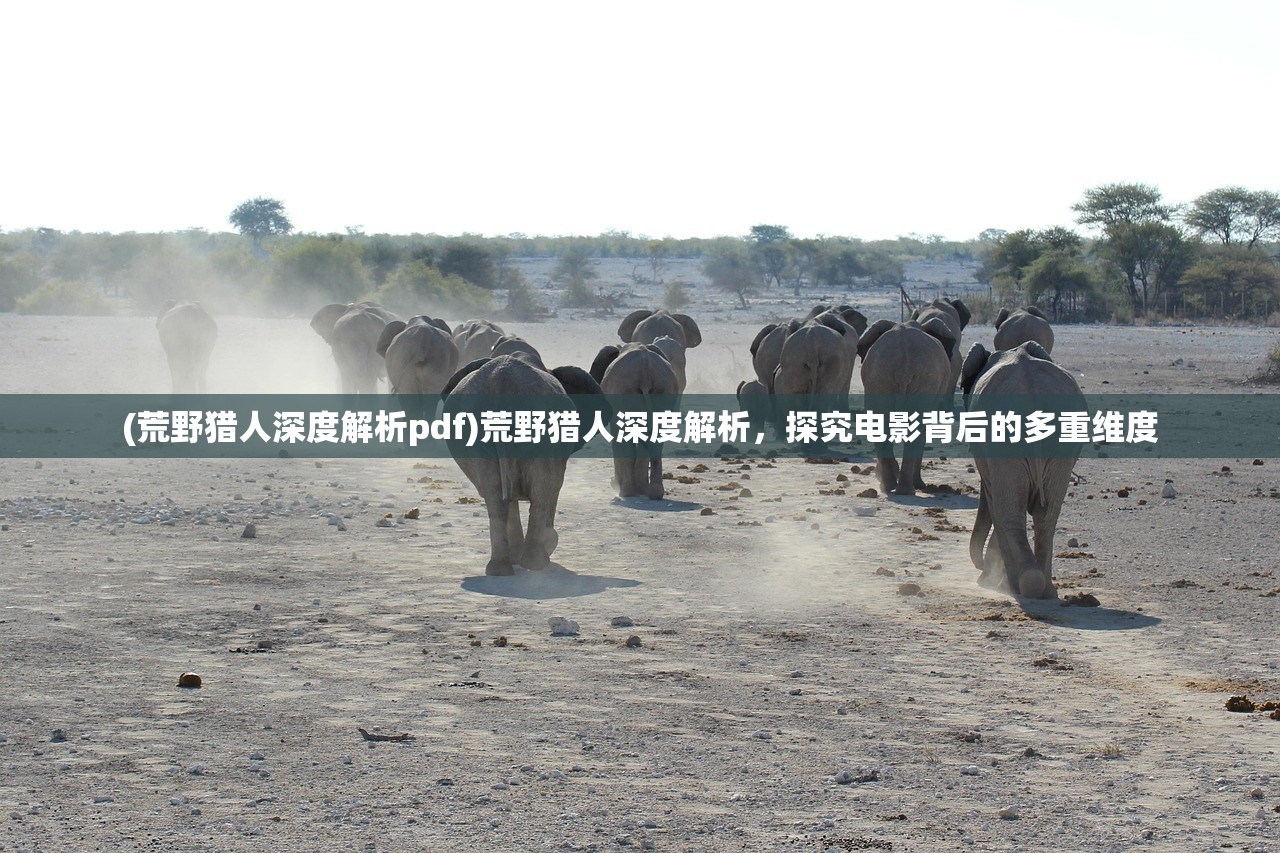 (荒野猎人深度解析pdf)荒野猎人深度解析，探究电影背后的多重维度