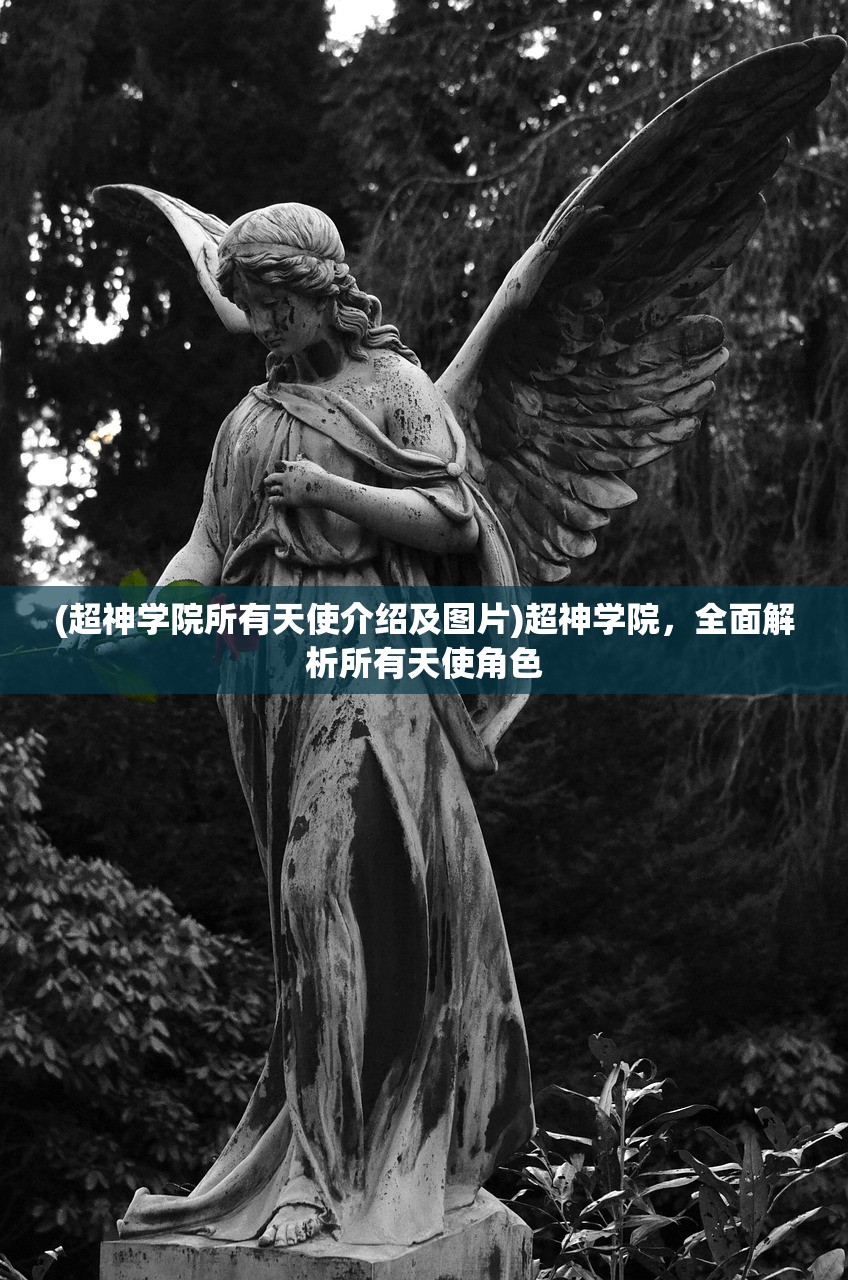 (超神学院所有天使介绍及图片)超神学院，全面解析所有天使角色
